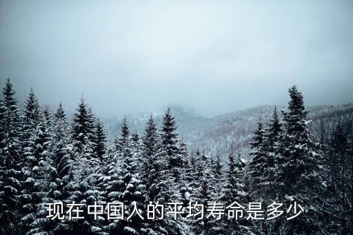 東營人平均壽命是多少,人的平均壽命是多少歲