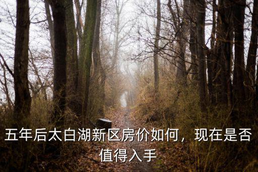 五年后太白湖新區房價如何，現在是否值得入手