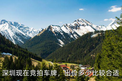 深圳現在競拍車牌，出價多少比較合適