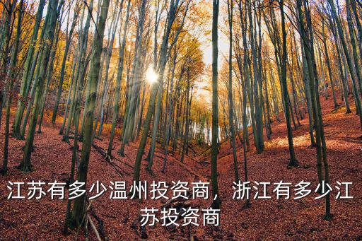 浙江人有多少資產,江蘇有多少溫州投資商