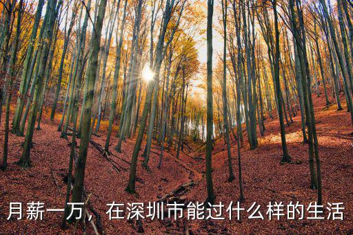 月薪一萬(wàn)，在深圳市能過(guò)什么樣的生活
