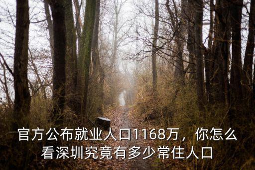 深圳總人囗多少,深圳究竟有多少常住人口