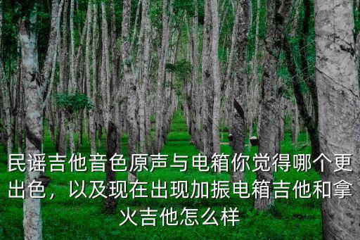 山東電箱吉他拿火吉他多少錢,要電箱吉他和音箱