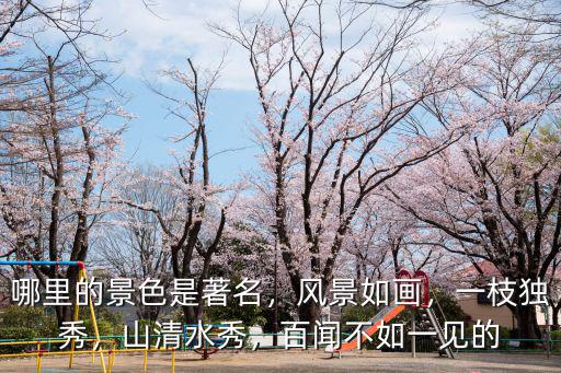 深圳哪里的蘆葦最美,深圳最值得去的公園有哪些