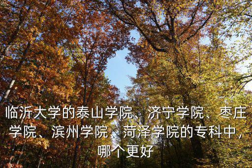 臨沂大學的泰山學院、濟寧學院、棗莊學院、濱州學院、菏澤學院的專科中，哪個更好