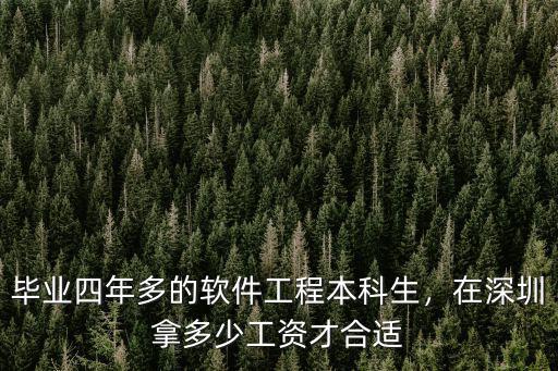 深圳的軟件工程師的工資是多少,畢業(yè)四年多的軟件工程本科生