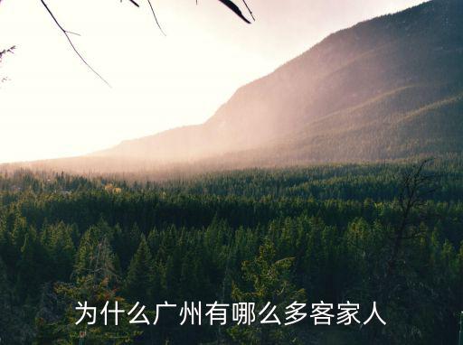 為什么廣州有哪么多客家人