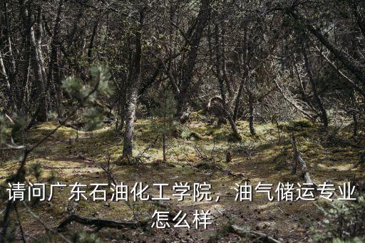 廣東利眾石油化工有限公司怎么樣,廣東石油化工學院怎么樣