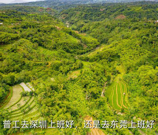 深圳東莞的廠都搬哪里去了,東莞哪里的工廠比較集中
