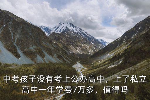 中考孩子沒有考上公辦高中，上了私立高中一年學費7萬多，值得嗎
