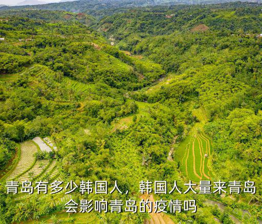 青島有多少韓國人，韓國人大量來青島會影響青島的疫情嗎