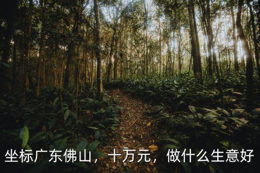 坐標廣東佛山，十萬元，做什么生意好