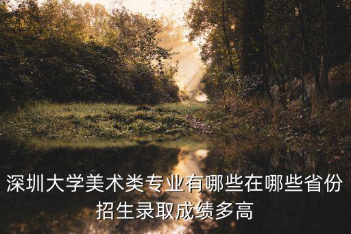 深圳大學在山東招多少美術生,深圳大學美術類專業有哪些