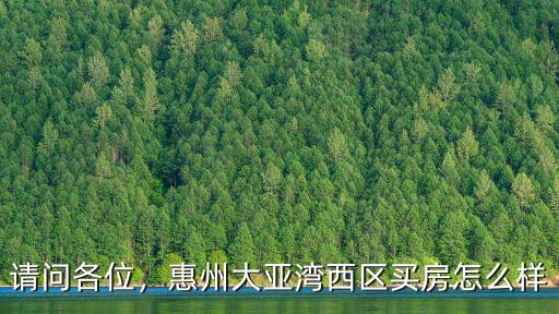 請問各位，惠州大亞灣西區買房怎么樣