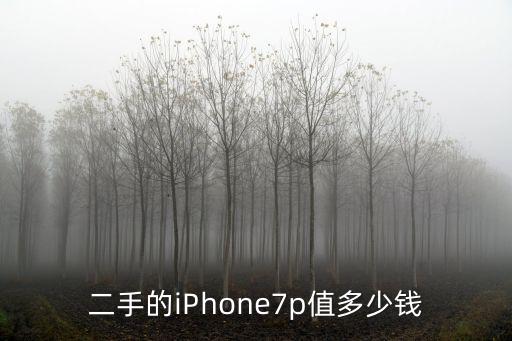 浙江蘋(píng)果多少錢(qián)一個(gè)月多少錢(qián),浙江或江蘇工廠