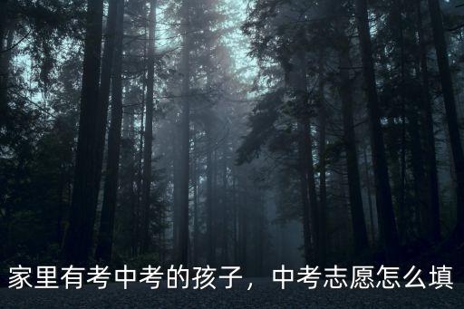 汕頭市中考志愿怎么寫,中考該怎么填寫志愿