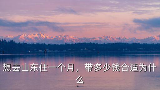 山東億維一個月多少錢,帶多少錢合適