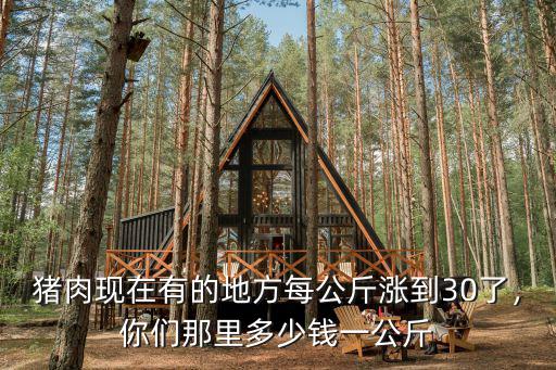 豬肉現在有的地方每公斤漲到30了，你們那里多少錢一公斤