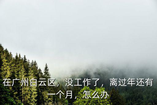 在廣州白云區，沒工作了，離過年還有一個月，怎么辦