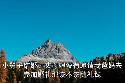 小舅子結婚，丈母娘沒有邀請我爸媽去參加婚禮那該不該隨禮錢