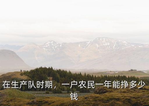山東普通農民一年能掙多少錢,一戶農民一年能掙多少錢