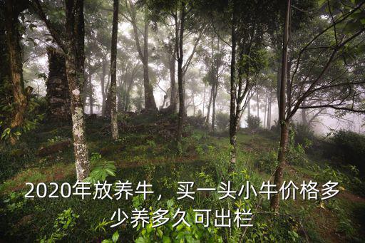 三東菏澤養牛場小牛多少一頭,買一頭小牛價格是多少