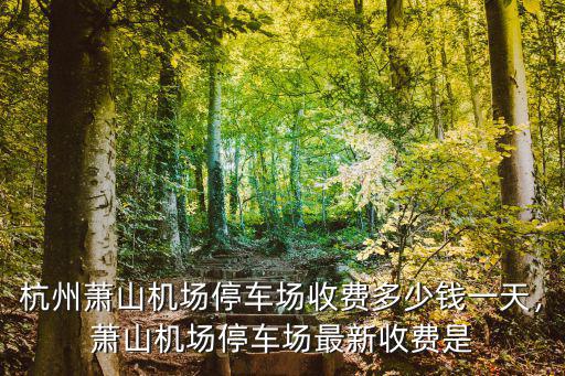 杭州蕭山機(jī)場(chǎng)地下停車場(chǎng)多少錢一天,蕭山機(jī)場(chǎng)停車場(chǎng)最新收費(fèi)是