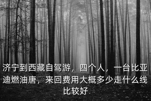 濟(jì)寧到西藏多少公里,濟(jì)寧到西藏自駕游