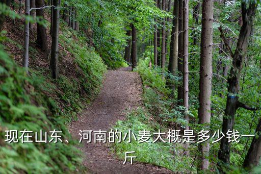 蟬蛻多少錢一斤山東菏澤,河南的小麥大概是多少錢一斤