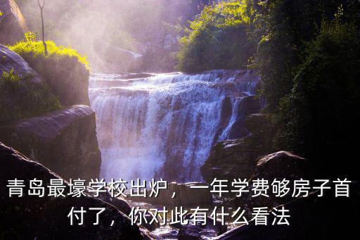 青島最壕學校出爐，一年學費夠房子首付了，你對此有什么看法