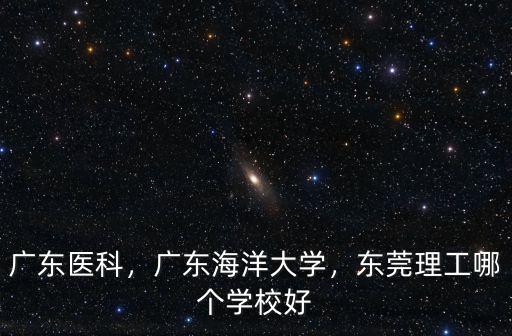 廣東醫(yī)科，廣東海洋大學(xué)，東莞理工哪個(gè)學(xué)校好