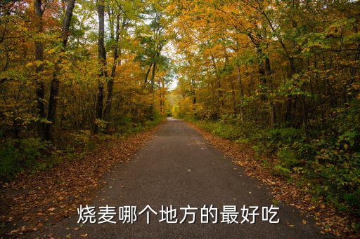 燒麥哪個地方的最好吃