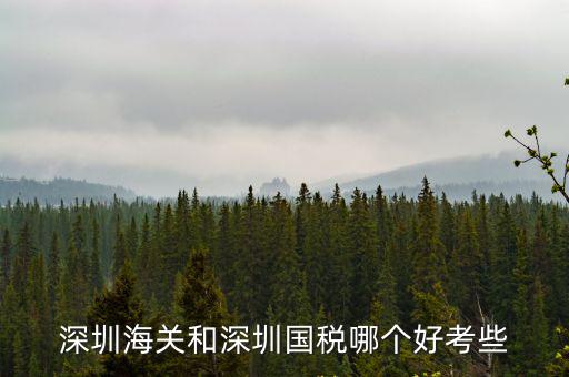 深圳國稅局待遇怎么樣,現(xiàn)在稅務(wù)局的待遇怎么樣