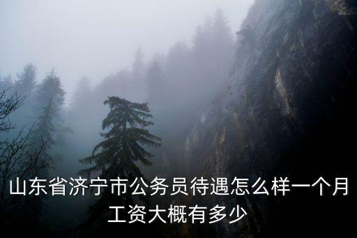 山東省濟寧市公務員待遇怎么樣一個月工資大概有多少