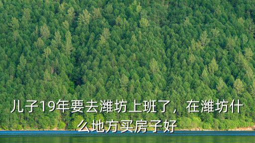兒子19年要去濰坊上班了，在濰坊什么地方買房子好