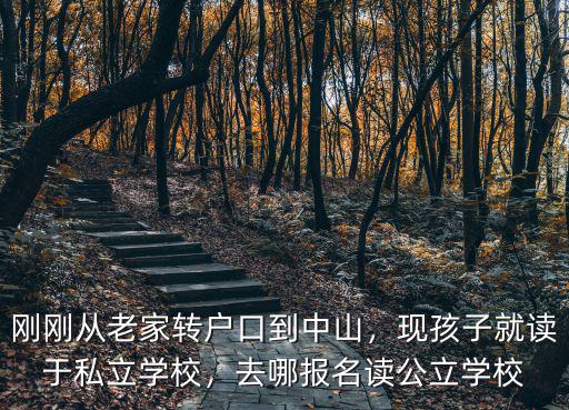 剛剛從老家轉戶口到中山，現孩子就讀于私立學校，去哪報名讀公立學校