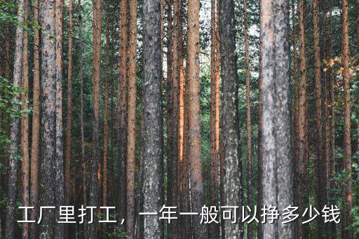 工廠里打工，一年一般可以掙多少錢