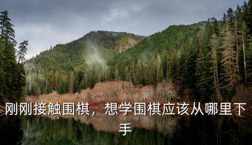 廣州哪里學圍棋最好學,想學圍棋應該從哪里下手