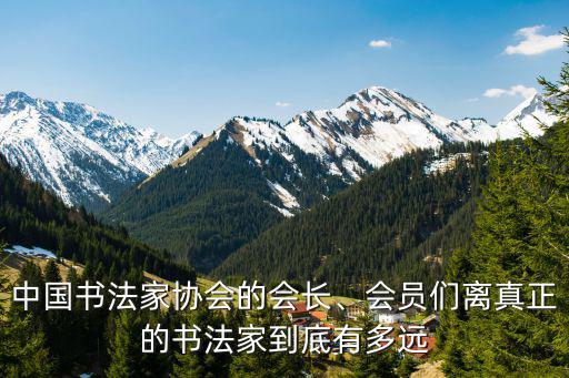 杭州有多少位中國(guó)書法家協(xié)會(huì)會(huì)員,中國(guó)書法家協(xié)會(huì)的會(huì)長(zhǎng)