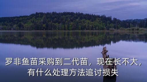 羅非魚苗采購到二代苗，現在長不大，有什么處理方法追討損失