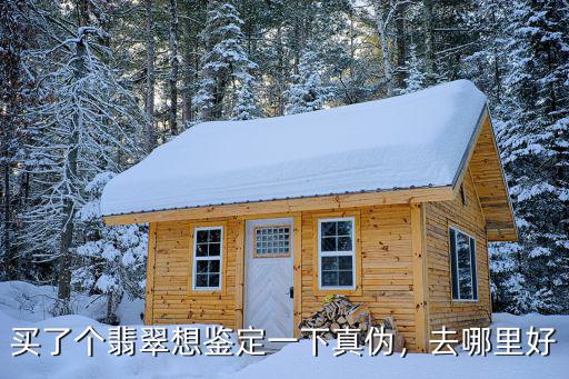 中山哪里可以玉石鑒定,買了個翡翠想鑒定一下真偽