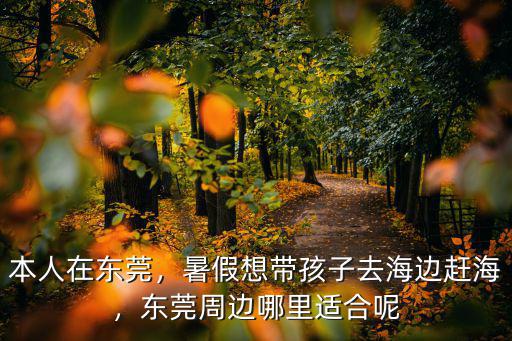 在東莞去哪里看大海,東莞去哪里的海邊好玩些