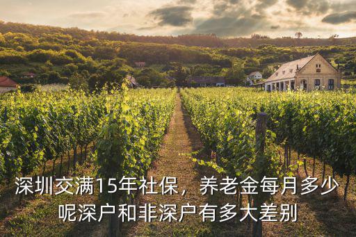 深圳市個人養老金繳納多少年,養老金每月多少呢