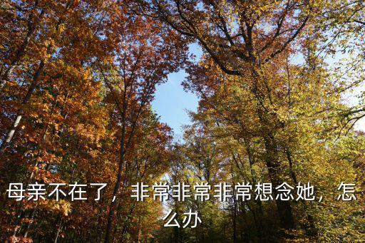 媽媽在廣東想媽媽了怎么辦,媽媽去世了兩年了