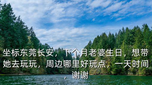 東莞郊區晚上哪里好玩,東莞有哪些好玩的地方