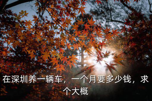 在深圳養(yǎng)一輛車，一個月要多少錢，求個大概