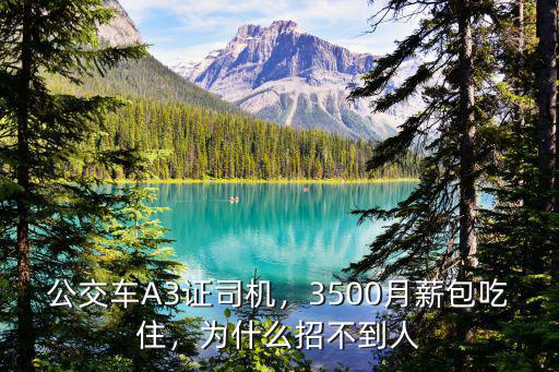 公交車A3證司機，3500月薪包吃住，為什么招不到人