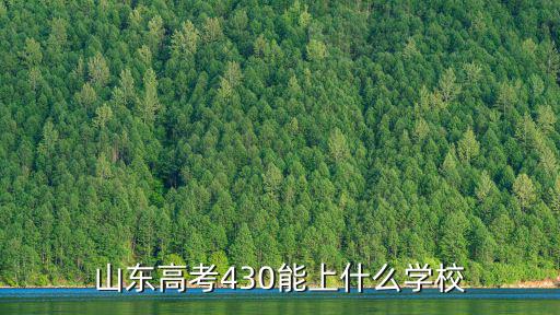 山東高考430能上什么學校