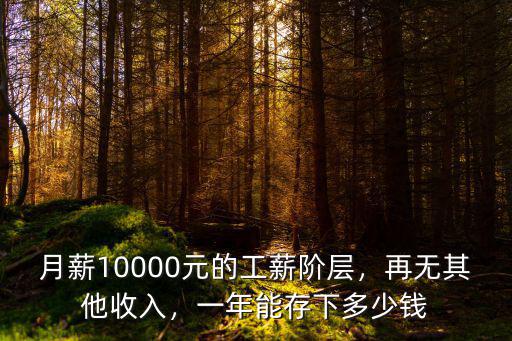 月薪10000元的工薪階層，再無(wú)其他收入，一年能存下多少錢