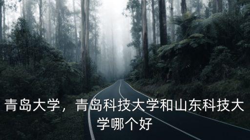 青島大學，青島科技大學和山東科技大學哪個好